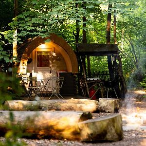 Hollington Park Glamping